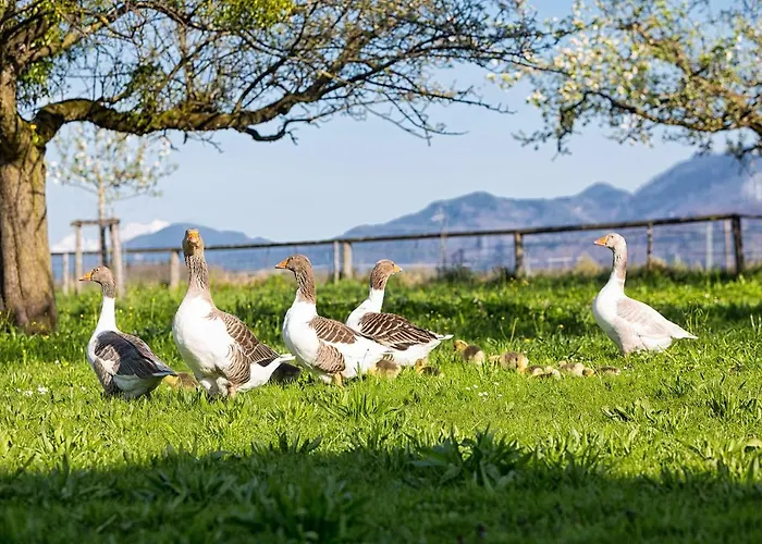 Zaisslhaeusl Hof Appartamento Übersee